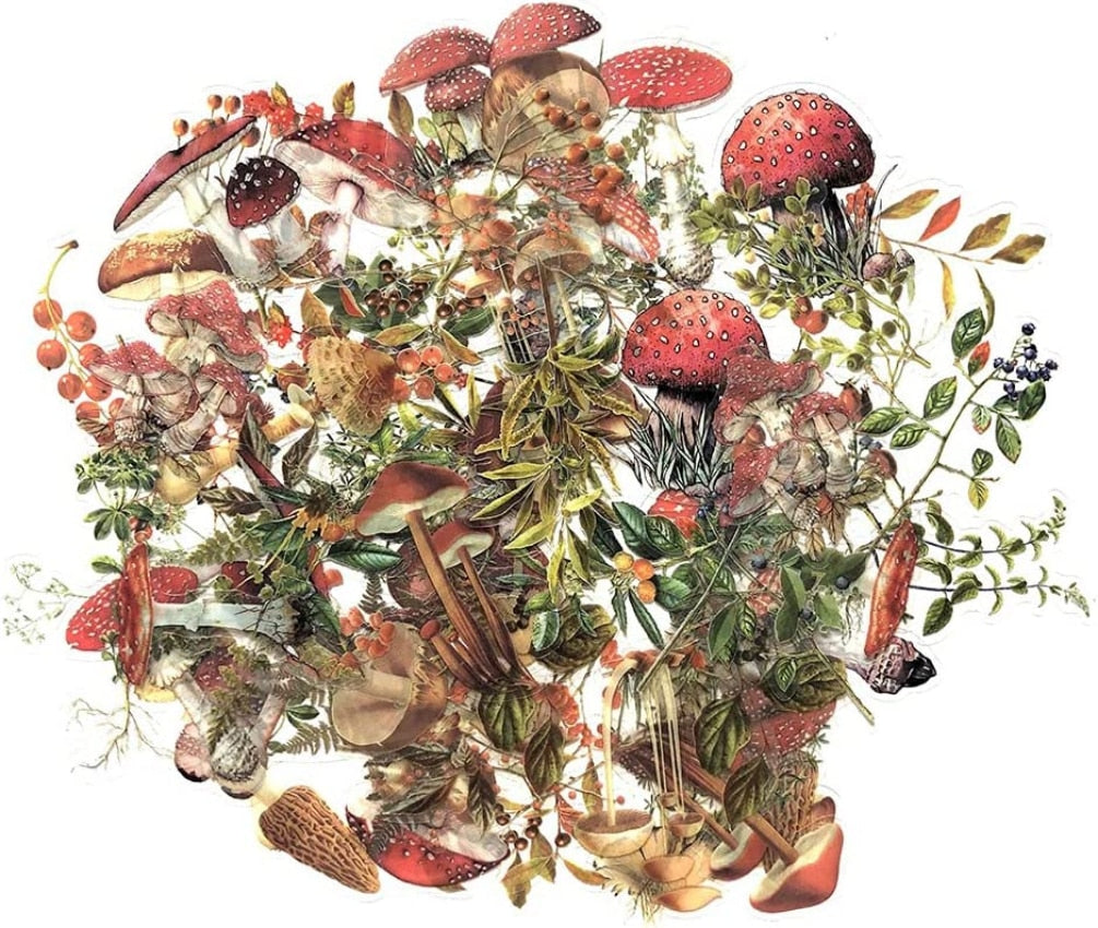 80 PCS Mushrooms Plant Stickers Set PET Transparent Nature Stickers for Scrapbooking