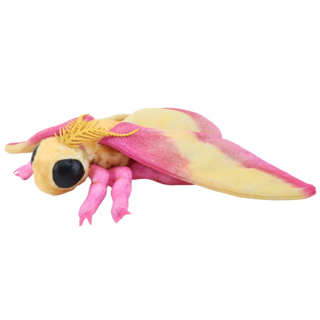 Cute Luna Moth and Rosy Maple Moth Plush Toys Soft Stuffed Animal Plushie for Insect Lovers Gift Idea