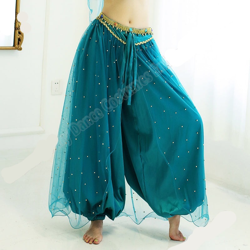 Belly Dance Princess Jasmine Costume Women Girls Bollywood Top Pants Veils Set