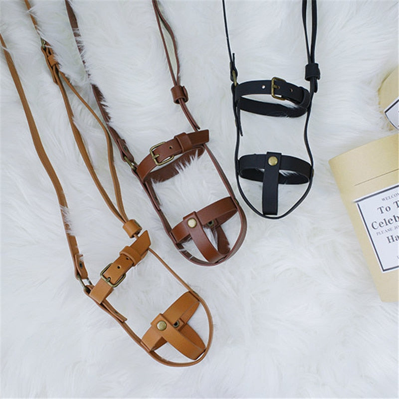 Medieval Flask Carry Strap Leather Drink Bottle Holder