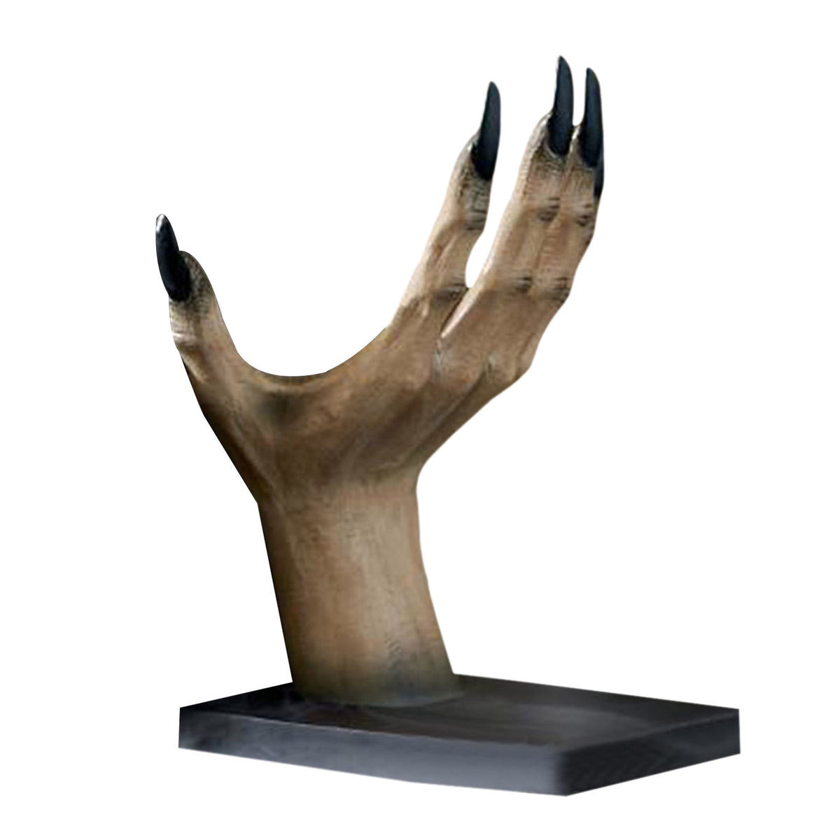 Witch's Hands Book Stand