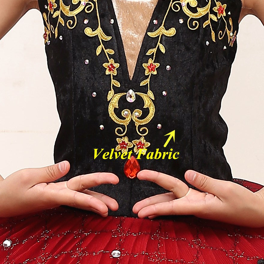 Velvety Top Embroidered Ballet Tutus Kids and Adult Ballerinas