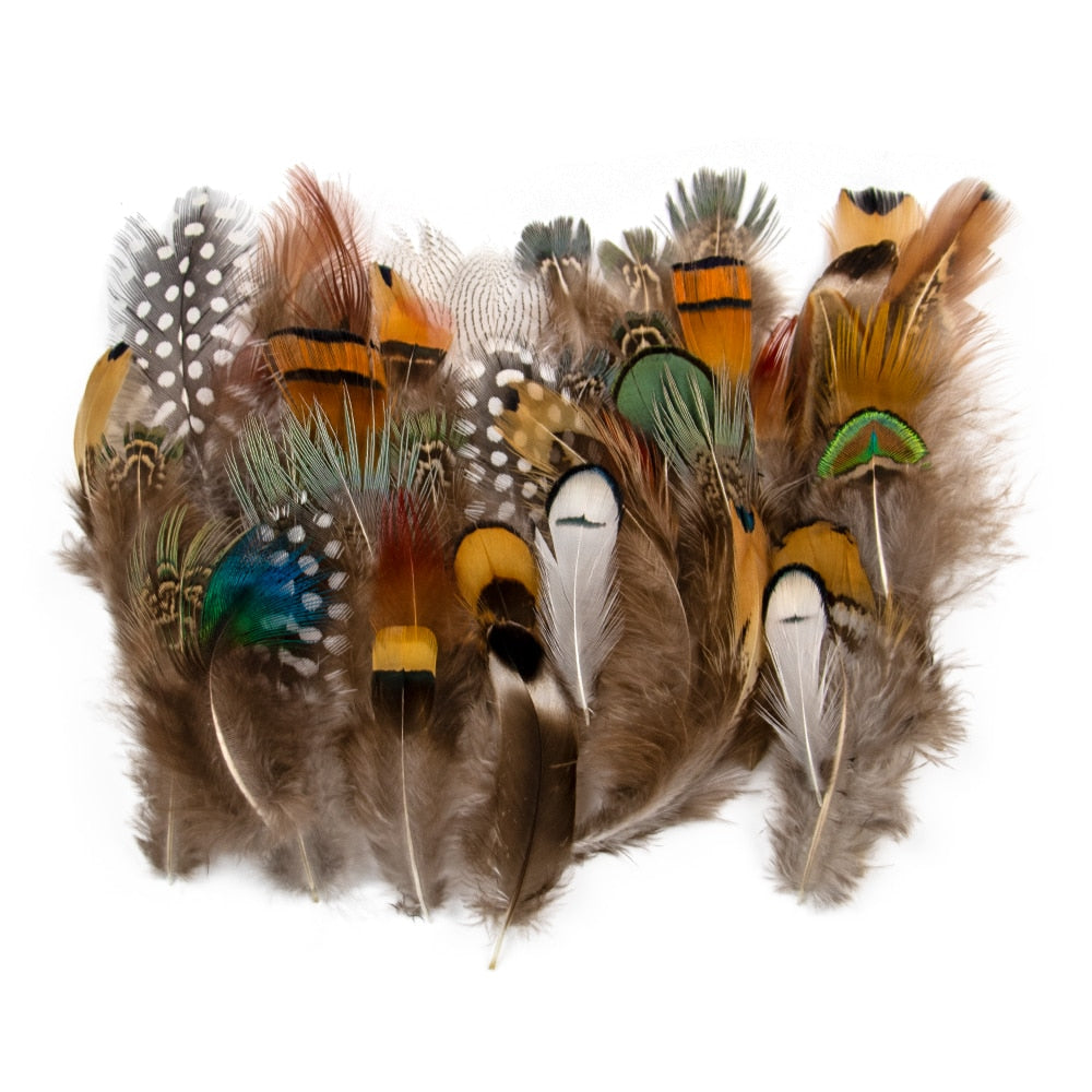 Fifty Mixed Natural Feathers for Crafts, Jewellery Making or Decoration