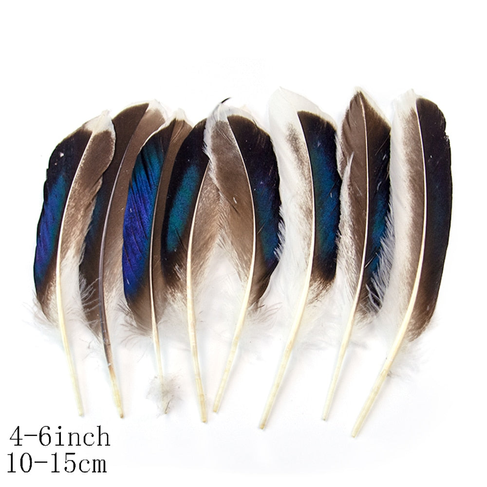 Fifty Mixed Natural Feathers for Crafts, Jewellery Making or Decoration