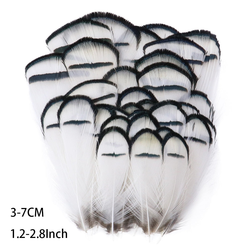 Fifty Mixed Natural Feathers for Crafts, Jewellery Making or Decoration