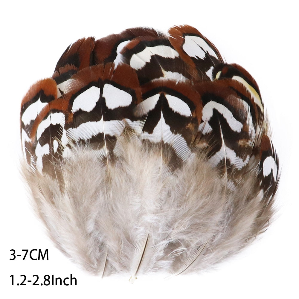 Fifty Mixed Natural Feathers for Crafts, Jewellery Making or Decoration