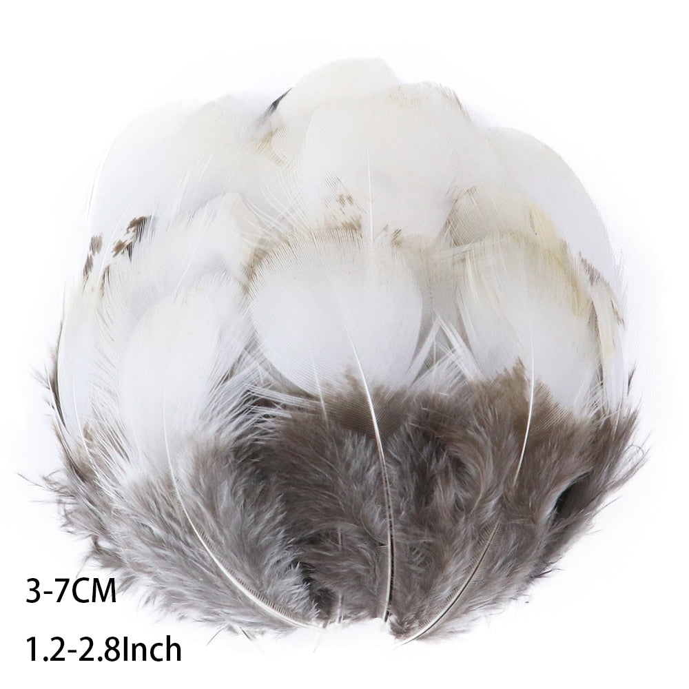 Fifty Mixed Natural Feathers for Crafts, Jewellery Making or Decoration