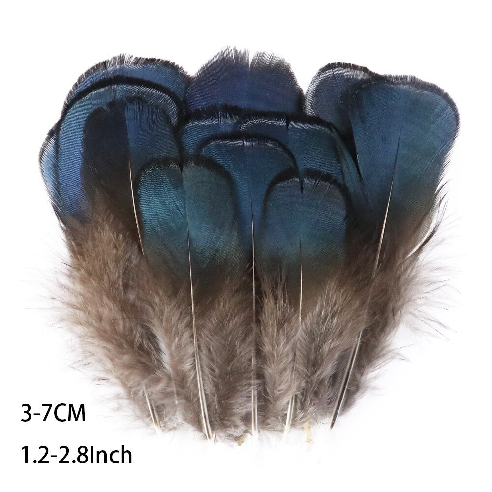 Fifty Mixed Natural Feathers for Crafts, Jewellery Making or Decoration