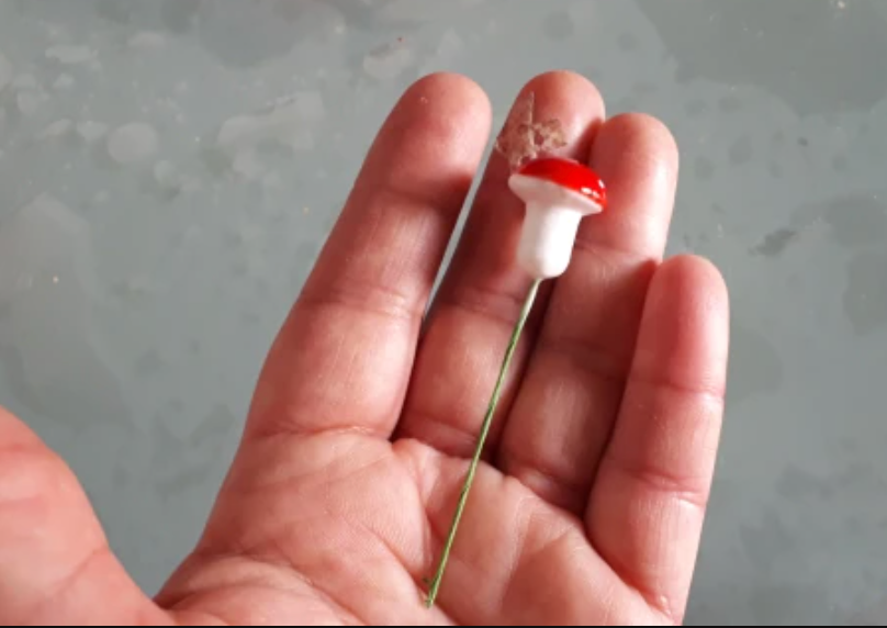 🍄 Ten, Thirty or FIFTY Red Mushroom Picks 🍄