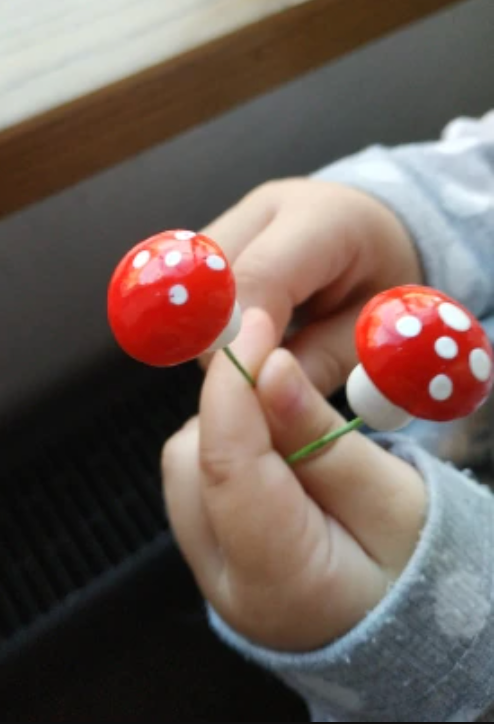 🍄 Ten, Thirty or FIFTY Red Mushroom Picks 🍄