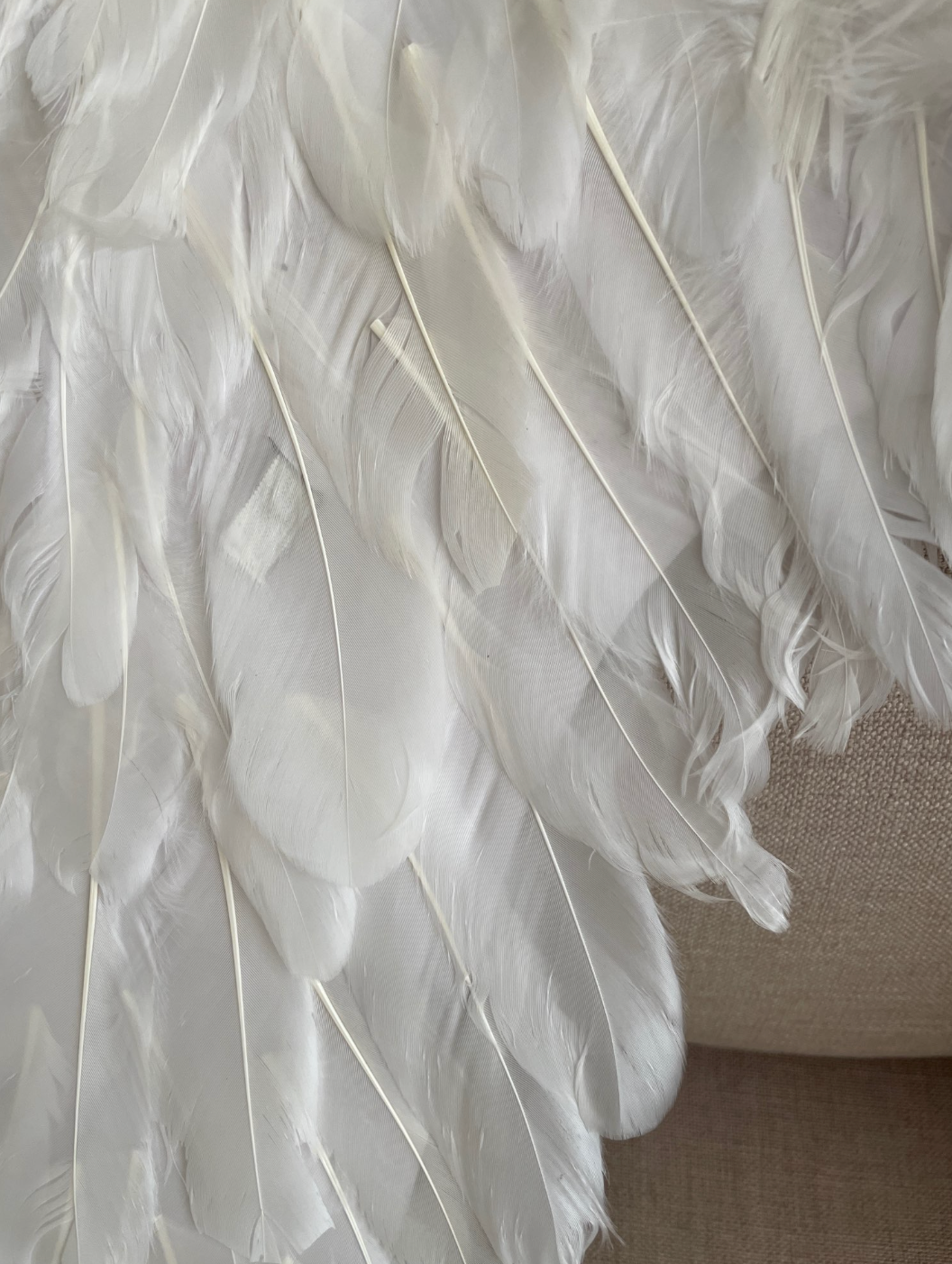 Black Red Pink or White Angel Feather Wings