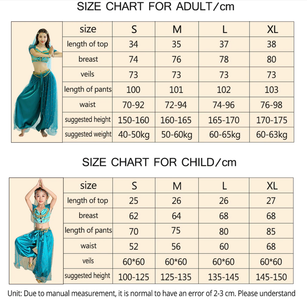 Belly Dance Princess Jasmine Costume Women Girls Bollywood Top Pants Veils Set