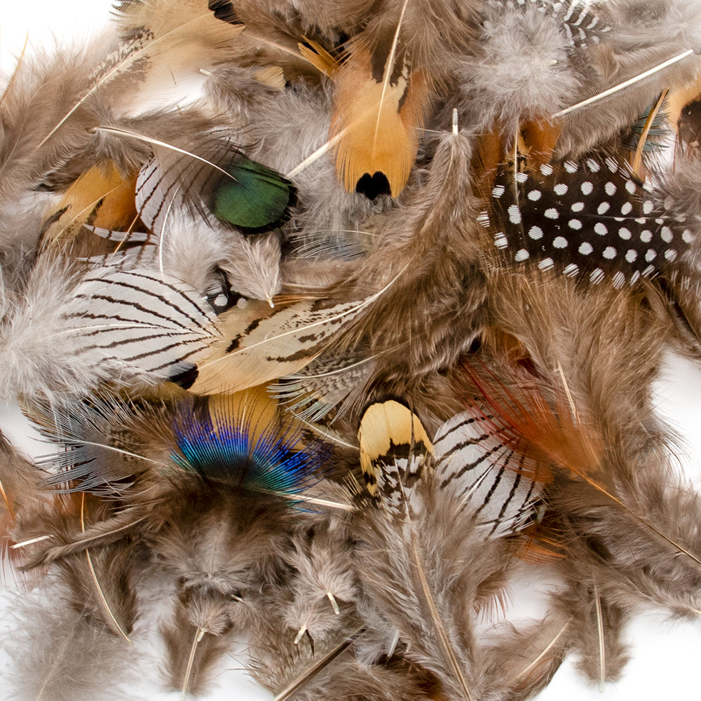 Fifty Mixed Natural Feathers for Crafts, Jewellery Making or Decoration
