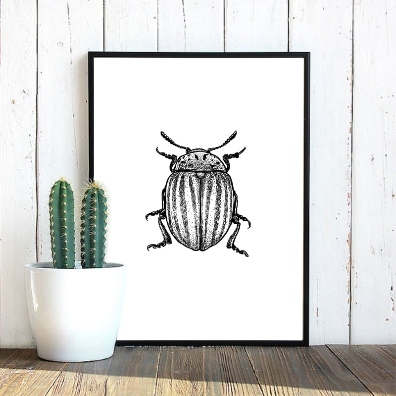 Woodland Animal Room Decor Canvas Wall Art Insects Bugs Illustrations Dragon Fly Bee Beetle Butterfly Black and White Home Decor | Woodland Gatherer | Australian Online Store | Gifts & Treasures | Special Occasions & Everyday Fun | Boho Life | Whimsical Treats | Jewellery | Fashion | Crafting DYI | Stationery | Boho Festival Fashion