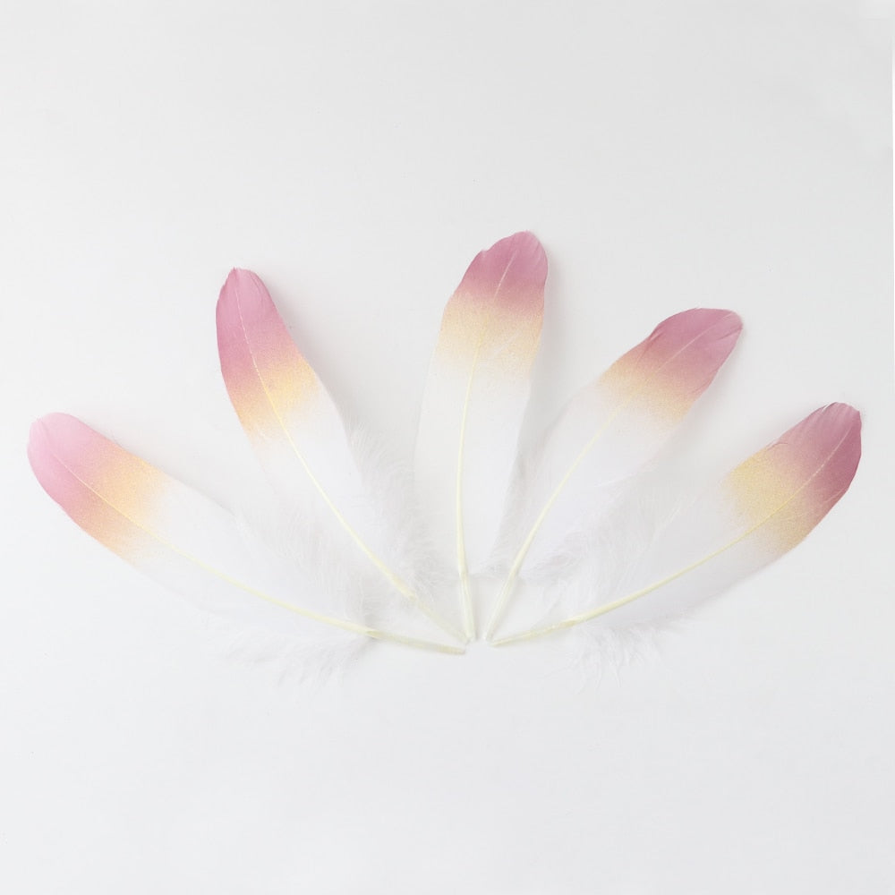 Ten Rose Gradient Goose Feathers 15-20cm