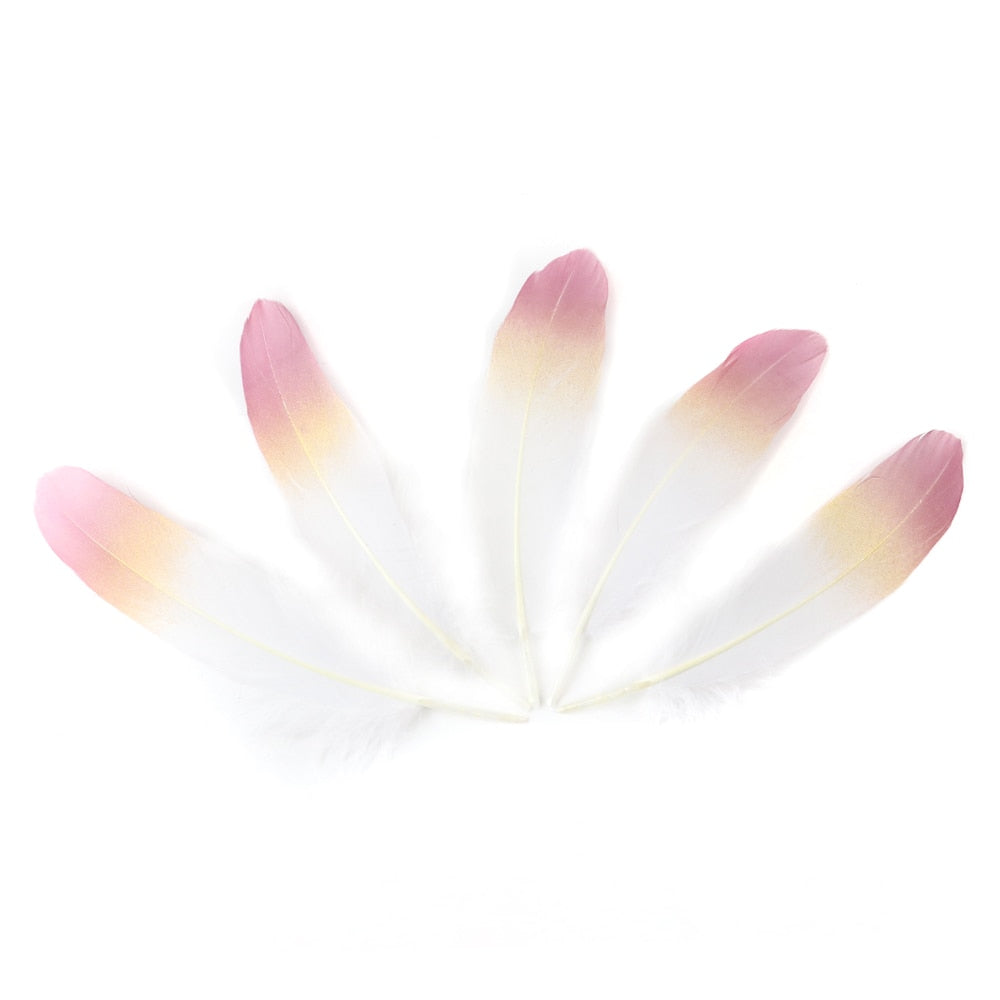 Ten Rose Gradient Goose Feathers 15-20cm