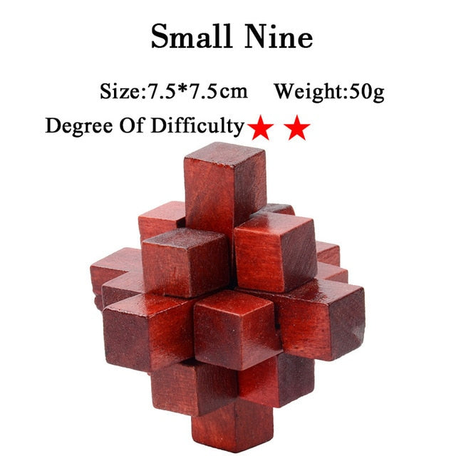 IQ Brain Teaser 3D Wooden Interlocking Puzzles