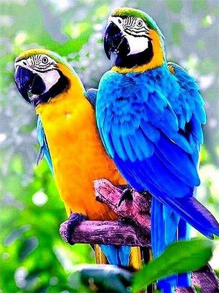 Parrots | CRYSTAL MOSAIC DIY PAINTING - Woodland Gatherer