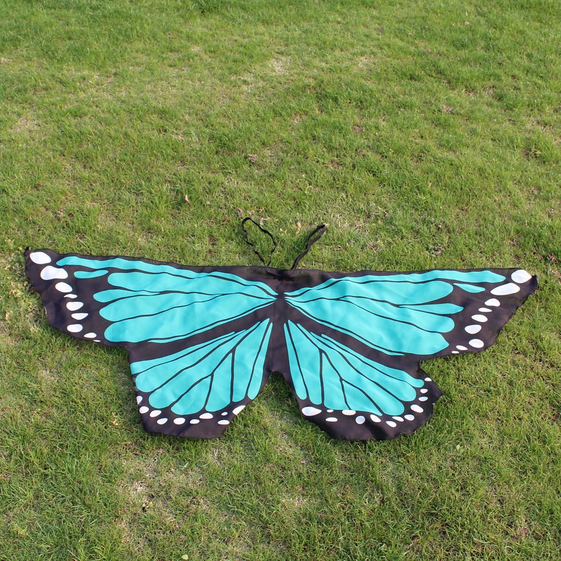 Butterfly Wings Dress Up