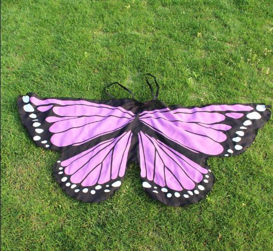 Butterfly Wings Dress Up