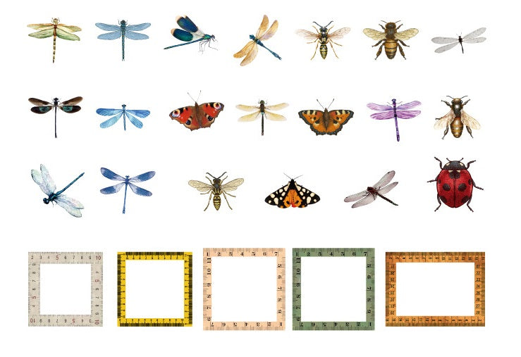 40pcs Insects Ladybug Beetle Dragonfly Bee Frames PVC Stickers Scrapbooking Craft