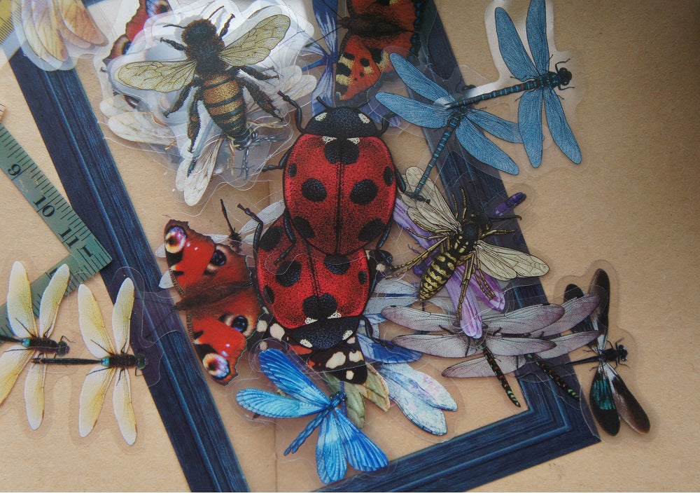 40pcs Insects Ladybug Beetle Dragonfly Bee Frames PVC Stickers Scrapbooking Craft
