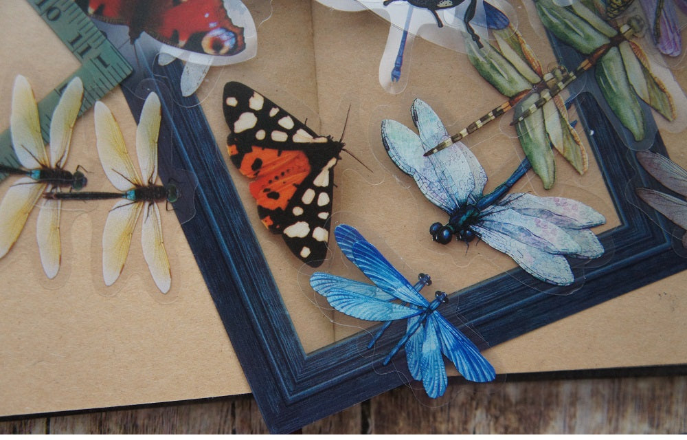 40pcs Insects Ladybug Beetle Dragonfly Bee Frames PVC Stickers Scrapbooking Craft