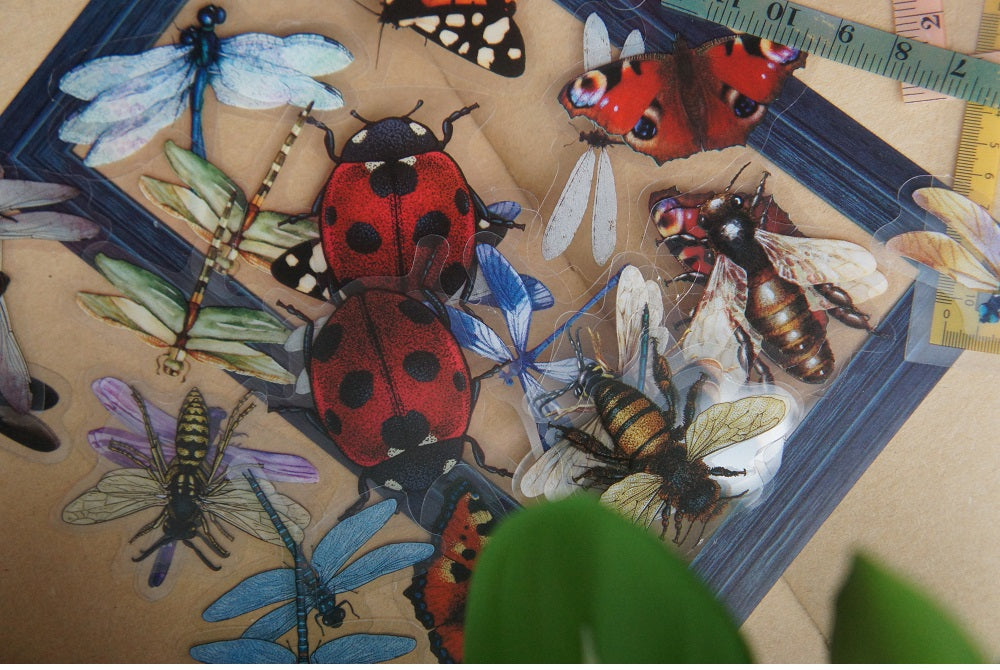 40pcs Insects Ladybug Beetle Dragonfly Bee Frames PVC Stickers Scrapbooking Craft