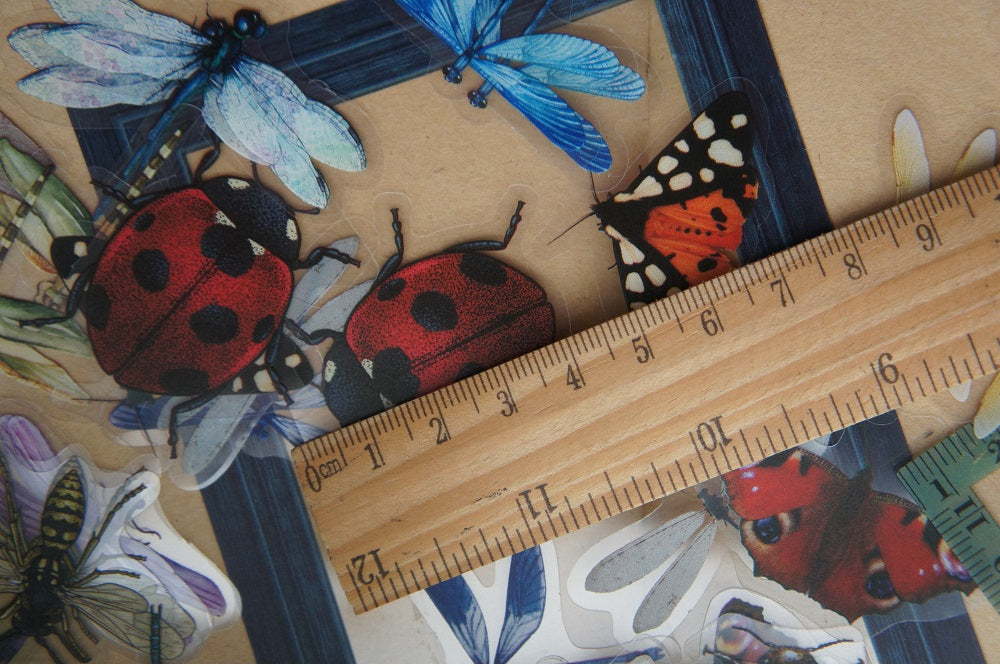 40pcs Insects Ladybug Beetle Dragonfly Bee Frames PVC Stickers Scrapbooking Craft