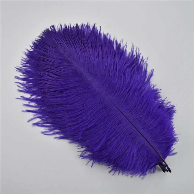 Ten Dyed 15-20cm Ostrich Feathers Plumes DIY Crafts