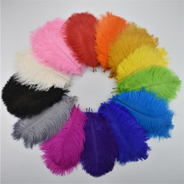Ten Dyed 15-20cm Ostrich Feathers Plumes DIY Crafts