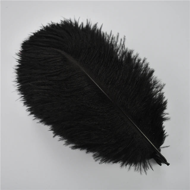 Ten Dyed 15-20cm Ostrich Feathers Plumes DIY Crafts