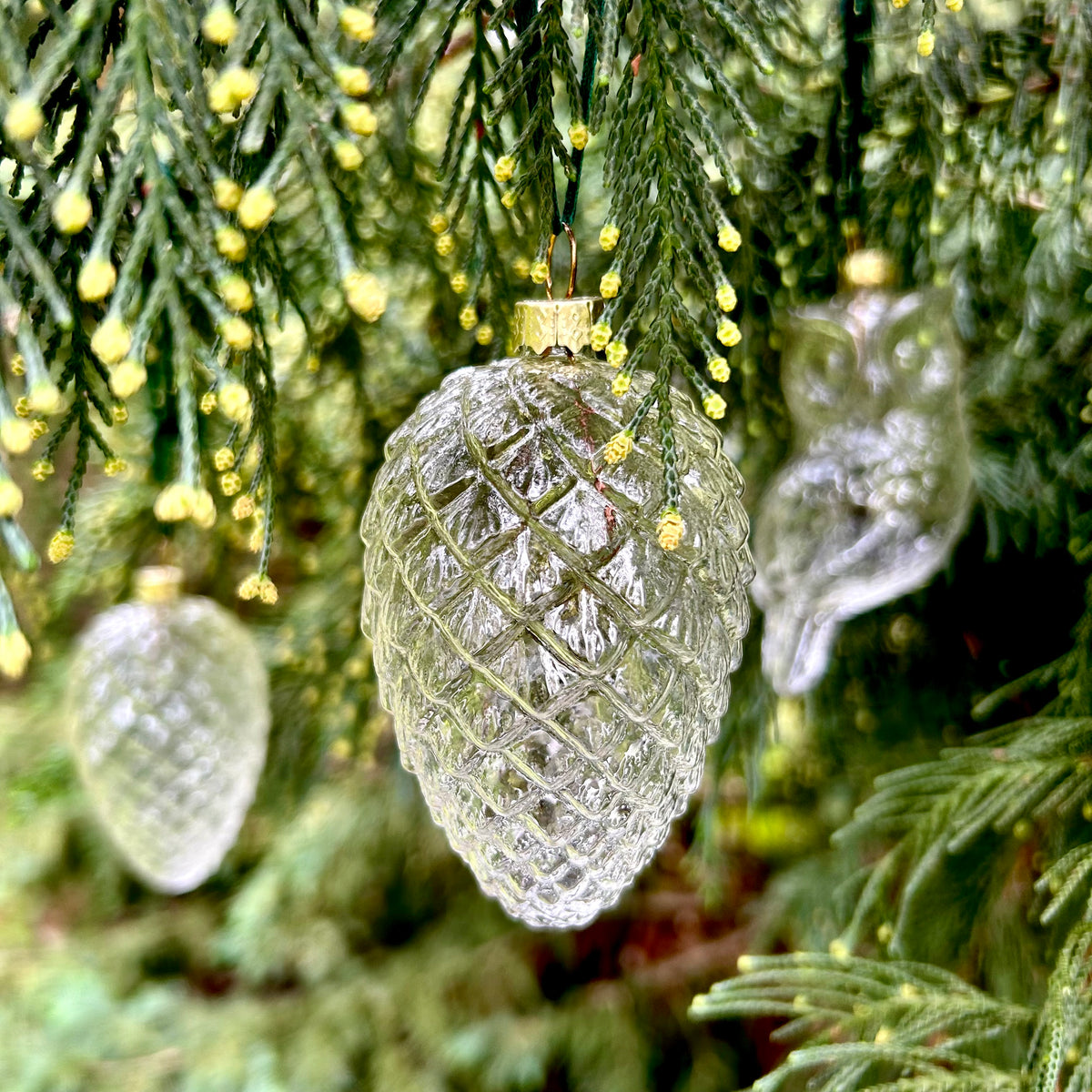 5 Pieces x DIY Paintable Fillable Christmas Decoration Glass Ornaments 110*50mm