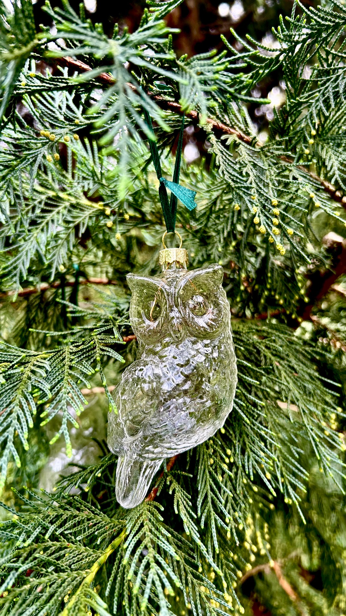 5 Pieces x DIY Paintable Fillable Christmas Decoration Glass Ornaments 110*50mm