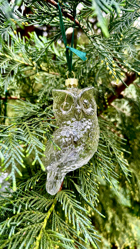 5 Pieces x DIY Paintable Fillable Christmas Decoration Glass Ornaments 110*50mm
