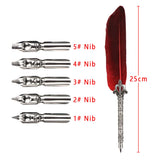 Feather Calligraphy Dip Pen Writing Set with 5 Nibs