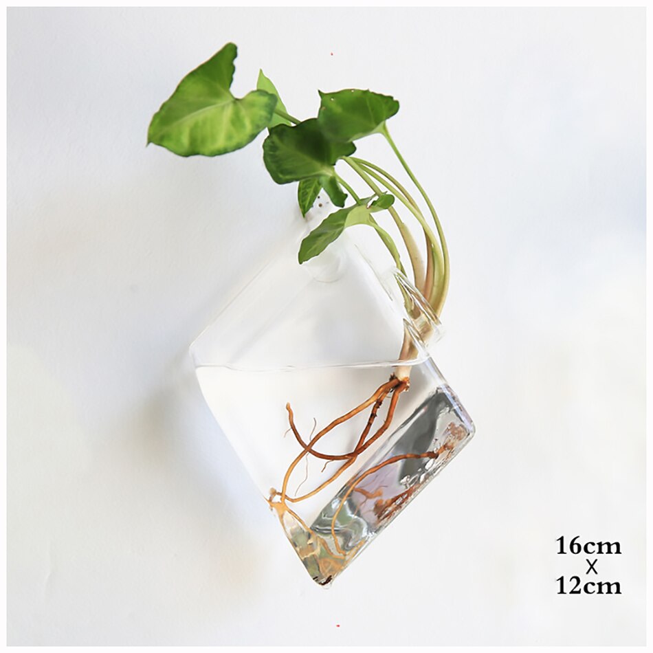 Glass Water Plant Wall Vases
