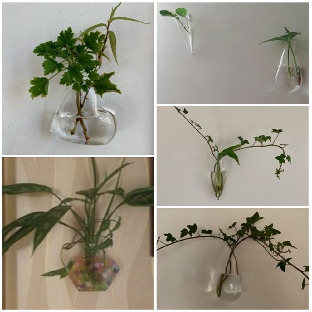 Glass Water Plant Wall Vases