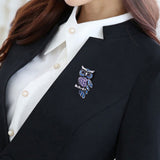 Oh Wise One Owl Brooches