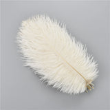 Ten Dyed 15-20cm Ostrich Feathers Plumes DIY Crafts