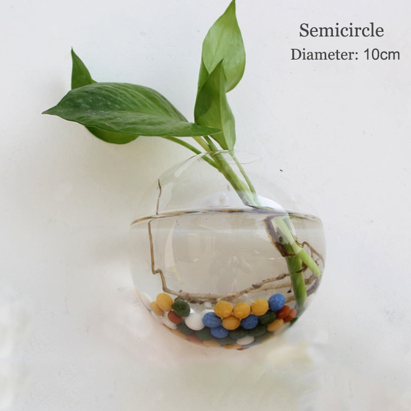 Glass Water Plant Wall Vases