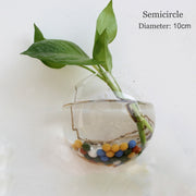 Glass Water Plant Wall Vases