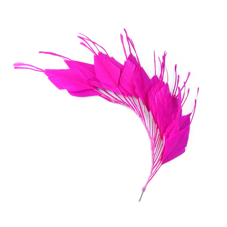 1pc Dyed Goose Feather 25-30CM DIY Crafts