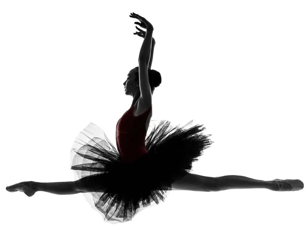 Royal Gold Swan Lake Professional Pancake Ballet Tutu Dress Ballet