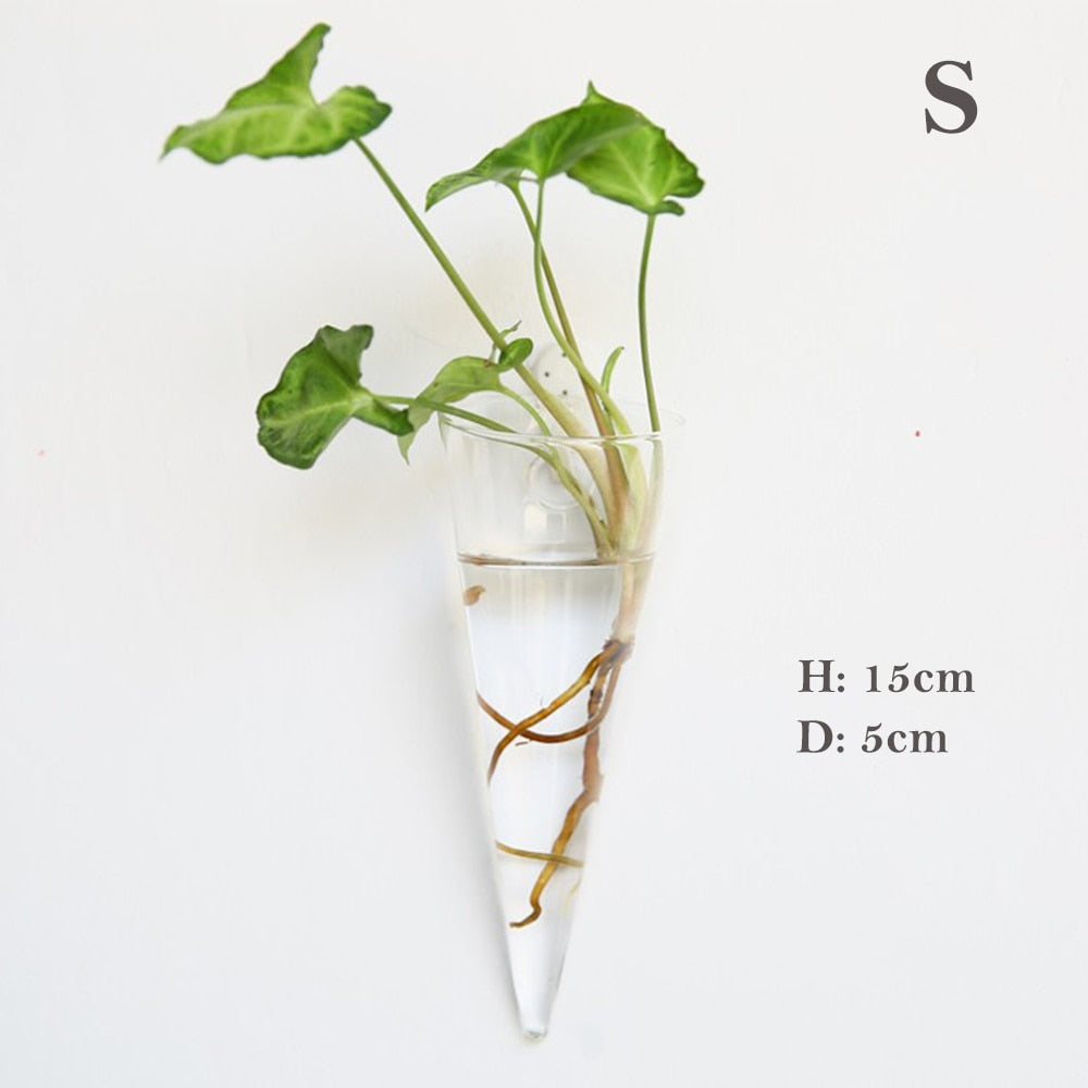 Glass Water Plant Wall Vases