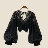 Lace Crop Top Black/White/Brown Long Lantern Sleeve