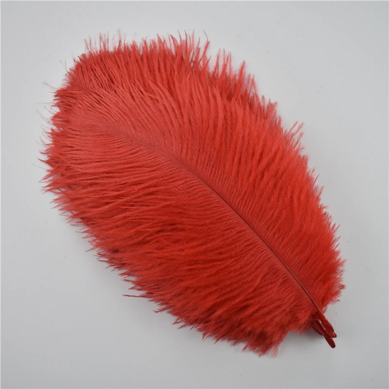 Ten Dyed 15-20cm Ostrich Feathers Plumes DIY Crafts