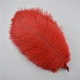 Ten Dyed 15-20cm Ostrich Feathers Plumes DIY Crafts
