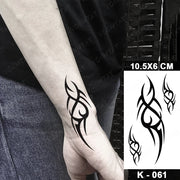 49649531191611