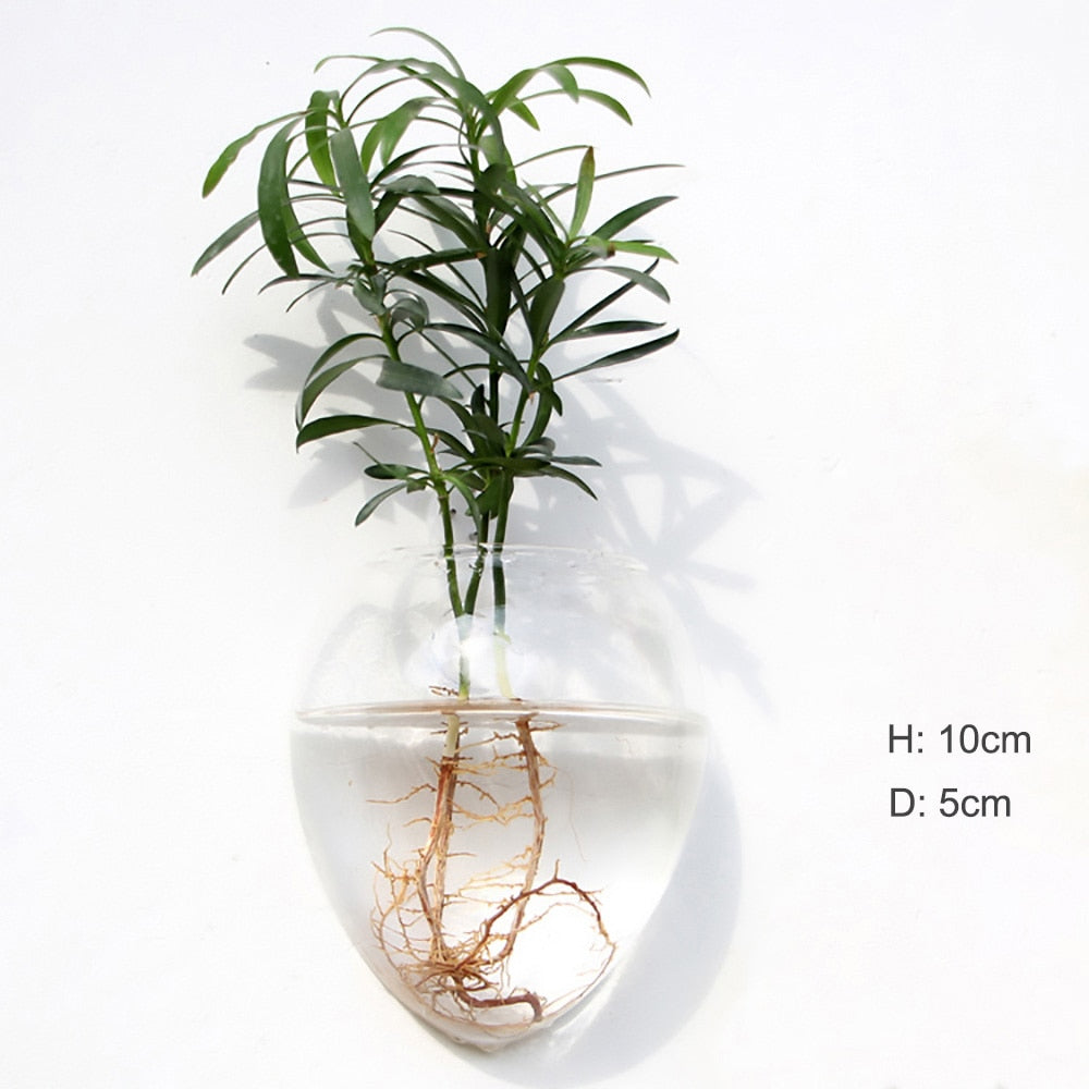 Glass Water Plant Wall Vases